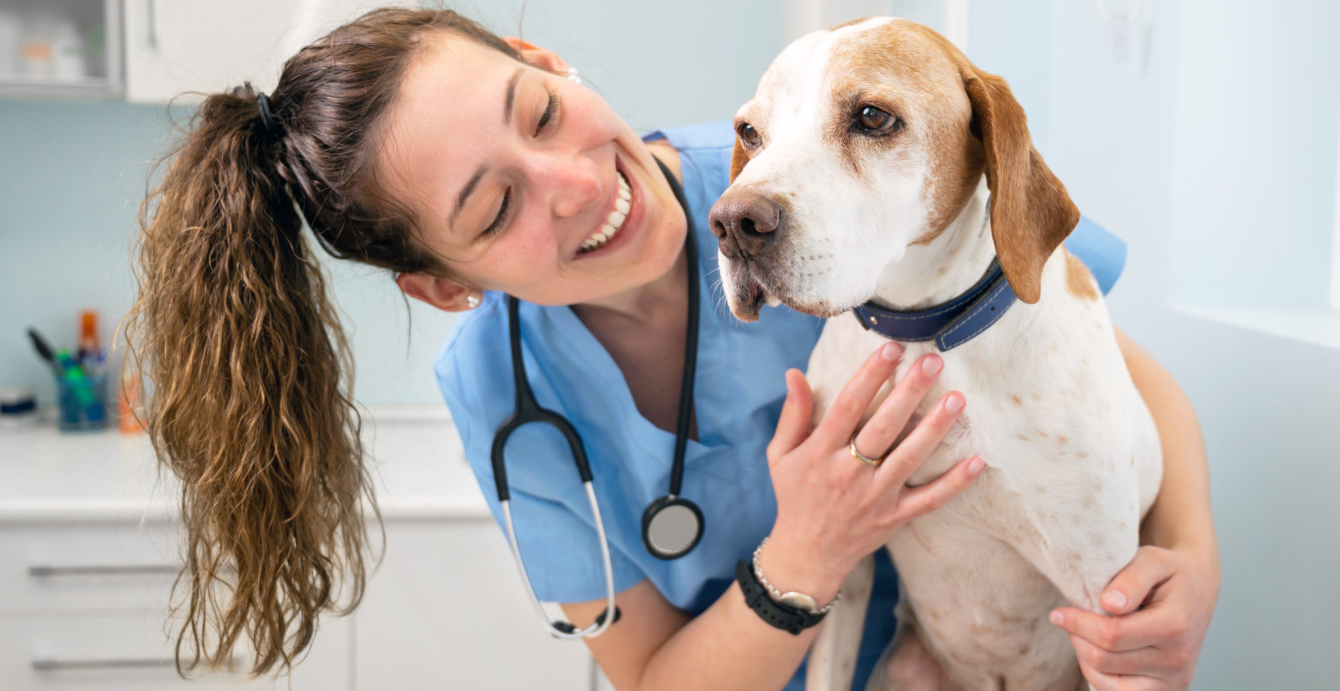 Dia da Médica Veterinária