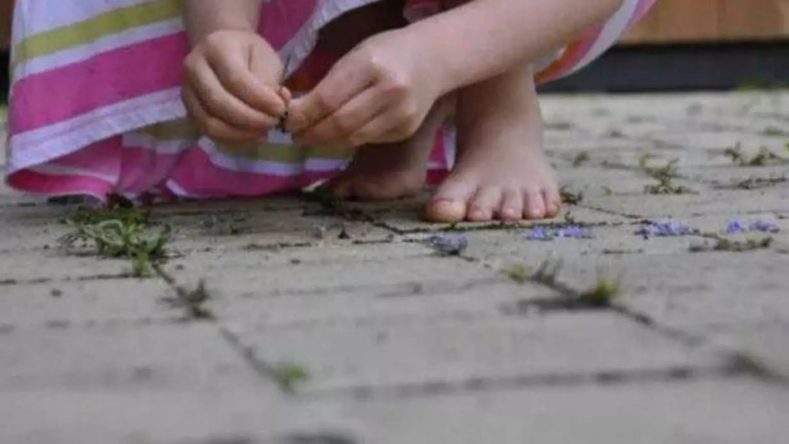 Doces e R$ 2: menina de 4 anos conta para irmã que era estuprada por idoso, que é preso