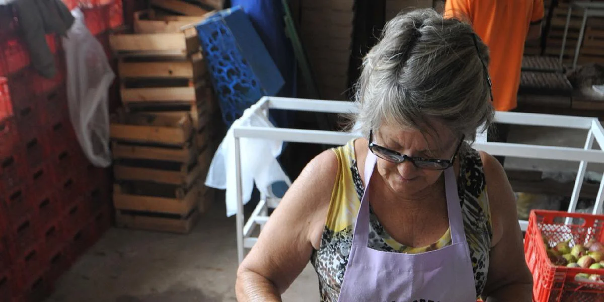 Ministério da Agricultura lança plataforma com dados sobre as Mulheres Rurais