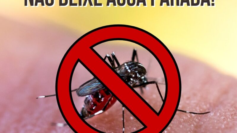 Alerta a população – Cuidado com a DENGUE, ela pode matar!