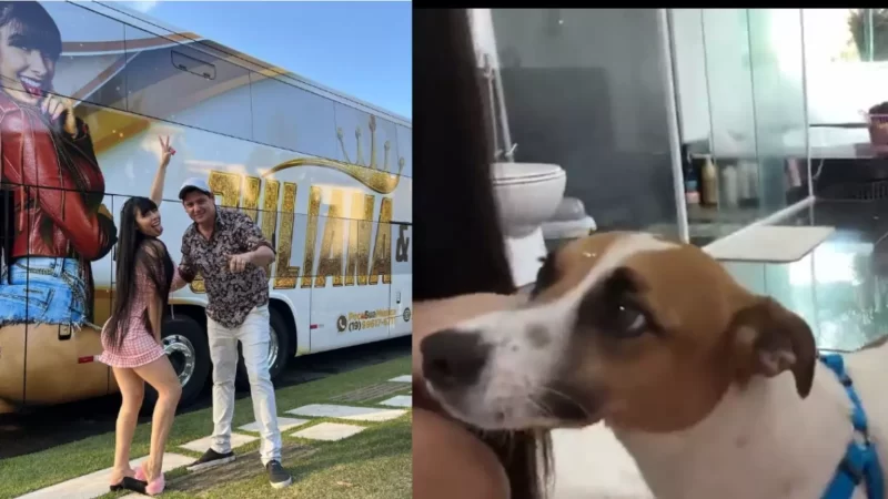 Cassilândia: criança que procurava cachorro  descobre que está com a vocalista do grupo Bonde do Forró