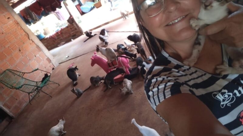 Cassilândia : Mulher precisa da sua ajuda para alimentar dezenas de cães e gatos abandonados. Seja solidário!