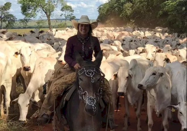 Mulheres administram mais de 30 milhões de hectares