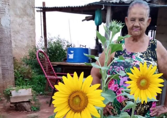 Cassilândia: Maria Divina Rodrigues faz aniversário hoje