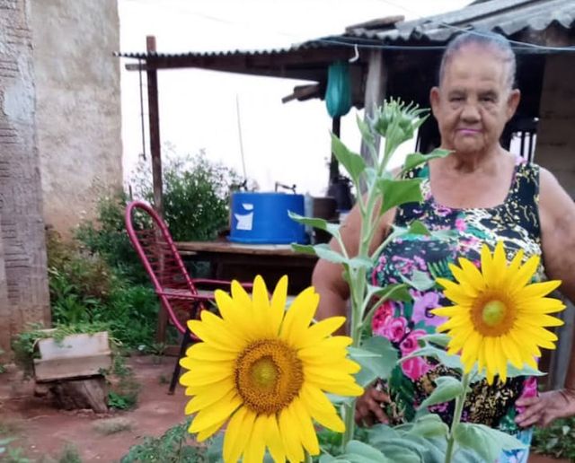 Cassilândia: Maria Divina Rodrigues faz aniversário hoje