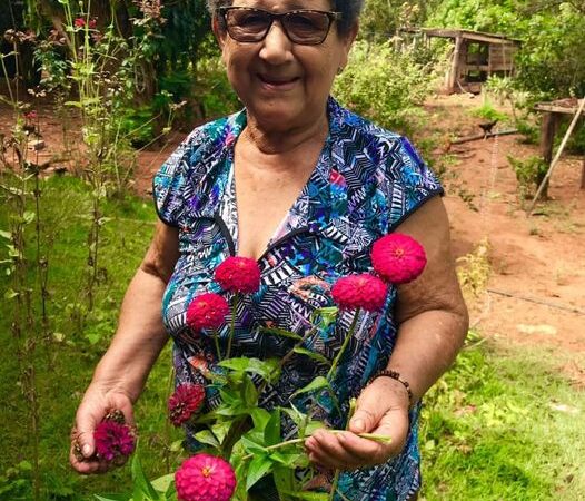 Luto em Alto Tamandaré: Morre Maria do Carmo Dias