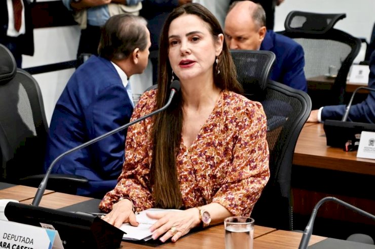 Mato Grosso do Sul passa a ter Estatuto da Mulher Parlamentar