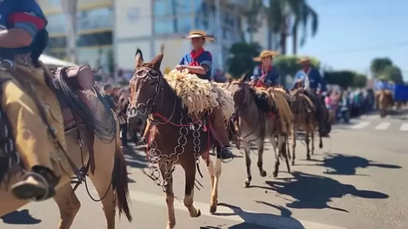 Desfile de Cassilândia promete ser um sucesso: organização,espera mais de 15 comitivas