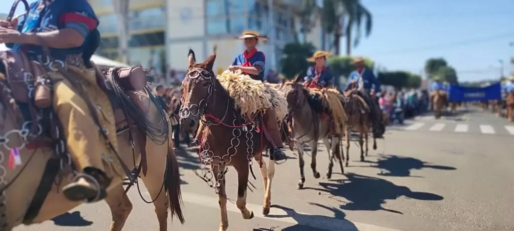 Desfile de Cassilândia promete ser um sucesso: organização,espera mais de 15 comitivas