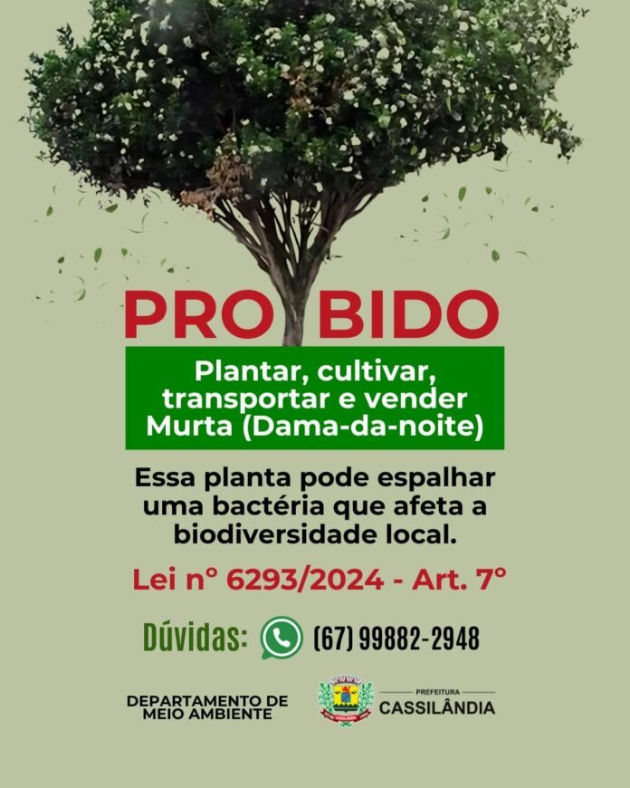 Proibição do Cultivo de Murta em Mato Grosso do Sul