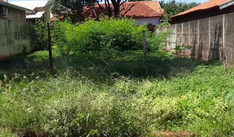 Prefeitura de Cassilândia notifica proprietários de terrenos abandonados; confira a relação