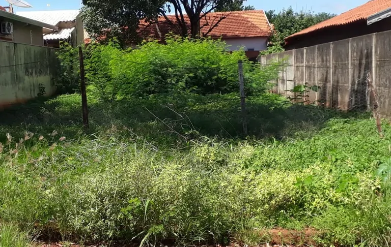 Prefeitura de Cassilândia notifica proprietários de terrenos abandonados; confira a relação