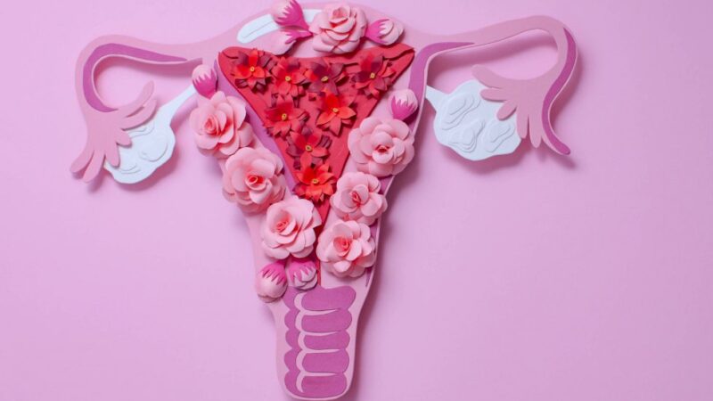 Impacto da cirurgia de retirada de útero na sexualidade da mulher é mais psicológico do que físico