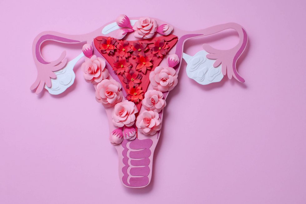 Impacto da cirurgia de retirada de útero na sexualidade da mulher é mais psicológico do que físico