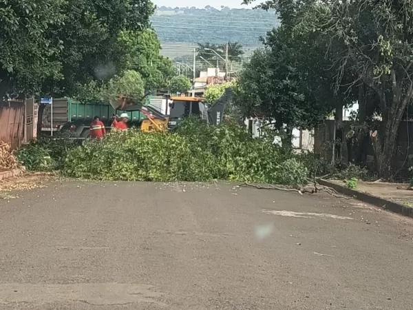 Polêmica da poda de árvores e descarte de galhos durante recapeamento na Izanópolis