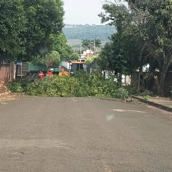 Polêmica da poda de árvores e descarte de galhos durante recapeamento na Izanópolis