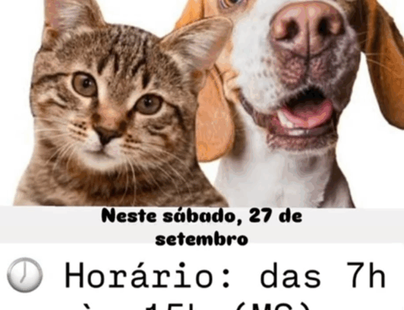 Sábado é de Vacinação Antirrábica em Cassilândia: leve seu pet