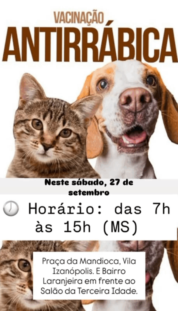 Sábado é de Vacinação Antirrábica em Cassilândia: leve seu pet