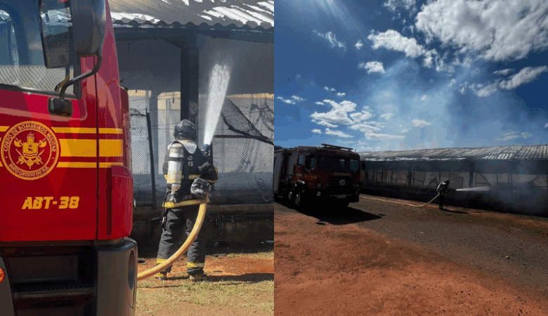 Incêndio atinge granja avícola na MS-306, entre Chapadão do Sul e Cassilândia