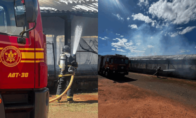 Incêndio atinge granja avícola na MS-306, entre Chapadão do Sul e Cassilândia