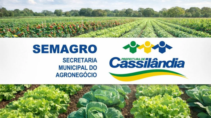 Secretaria Municipal do Agronegócio realiza pesquisa de campo sobre o mercado hortifruti de Cassilândia