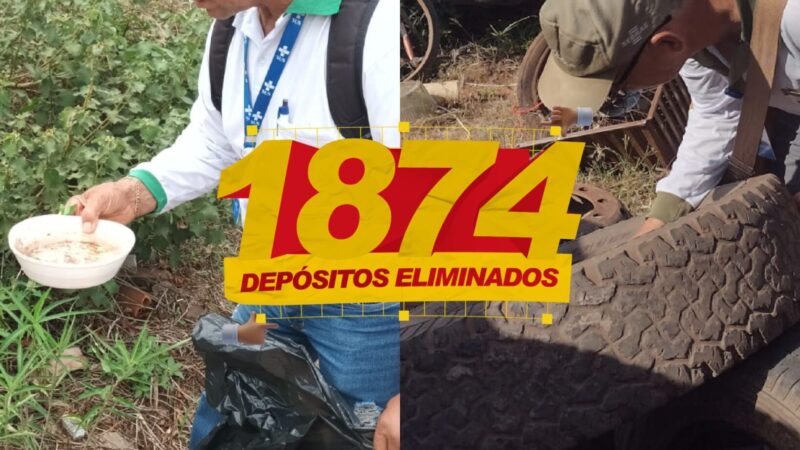 Mutirão de Combate à Dengue apresenta resultados expressivos em Cassilândia