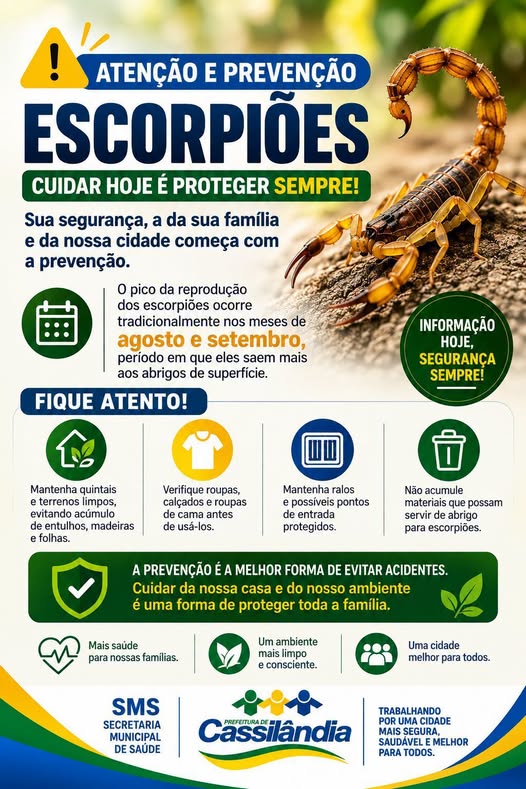 Prefeitura de Cassilândia reforça orientações para prevenção de acidentes com escorpiões