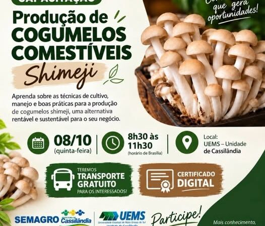 CAPACITAÇÃO | PRODUÇÃO DE COGUMELOS COMESTÍVEIS – SHIMEJI