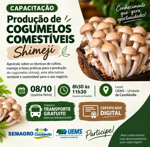CAPACITAÇÃO | PRODUÇÃO DE COGUMELOS COMESTÍVEIS – SHIMEJI