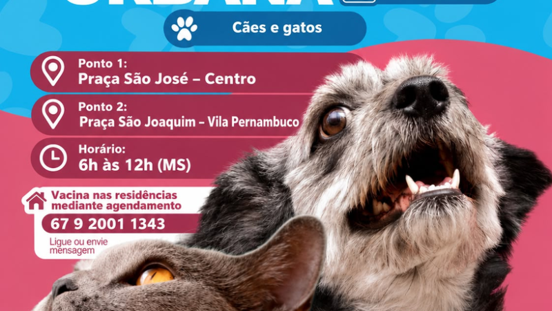 Vacinação antirrábica urbana imunizou 444 animais no primeiro final de semana em Cassilândia