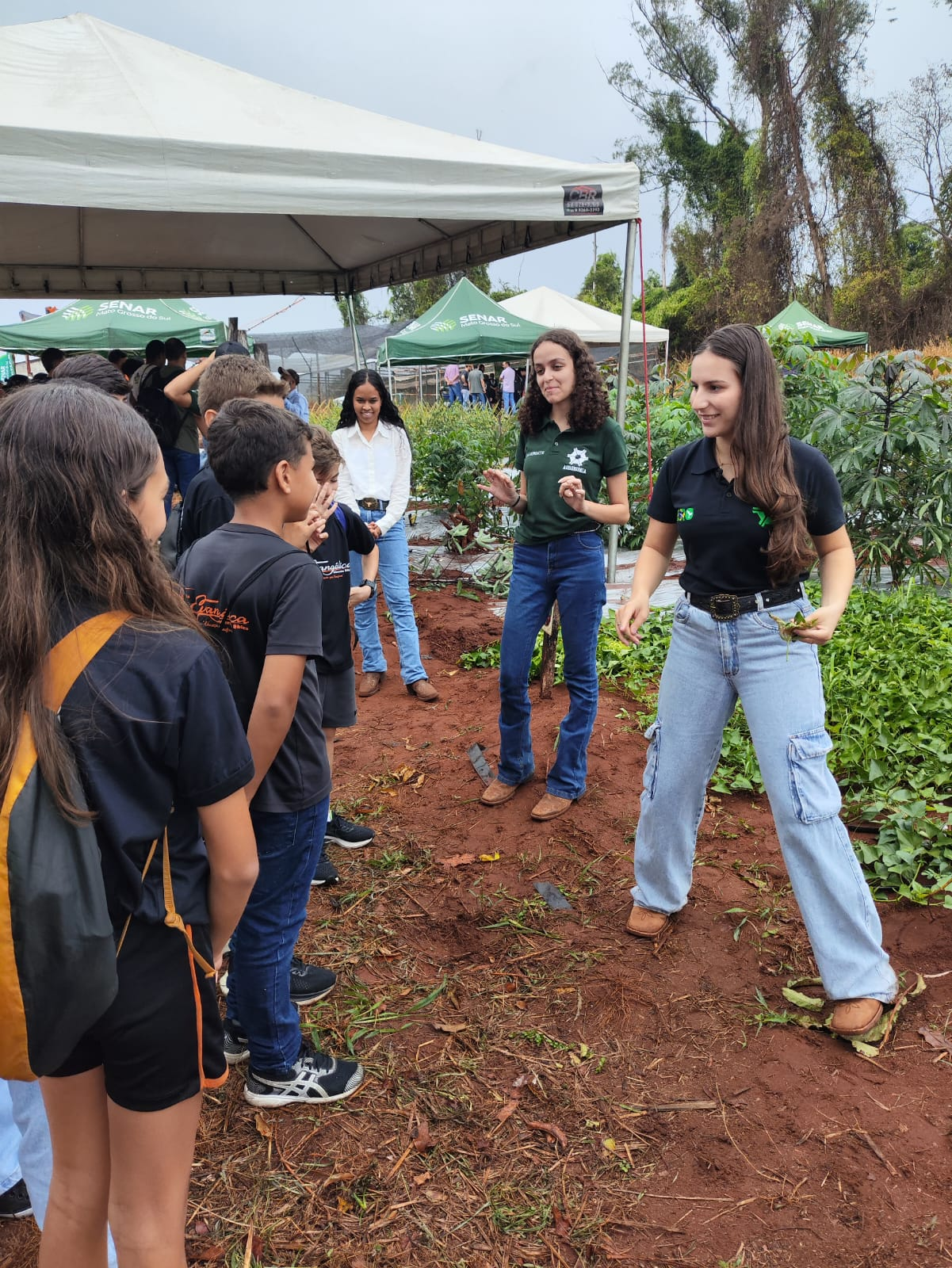 Estudantes da Escola Evangélica Avivamento Bíblico de Cassilândia visitam UEMS durante atividades do Programa Amigos da Horta