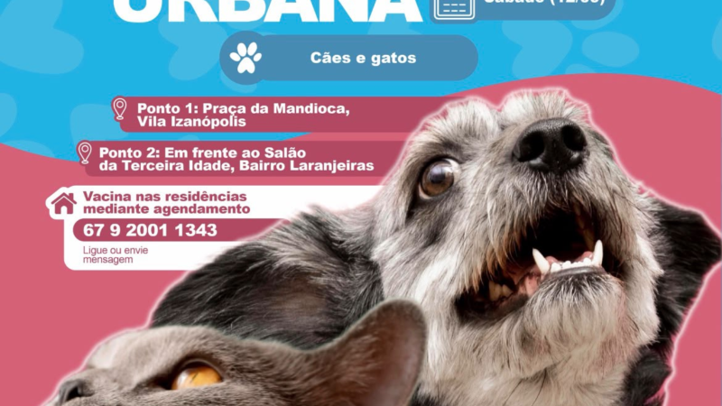 Cassilândia realiza vacinação antirrábica para cães e gatos neste sábado