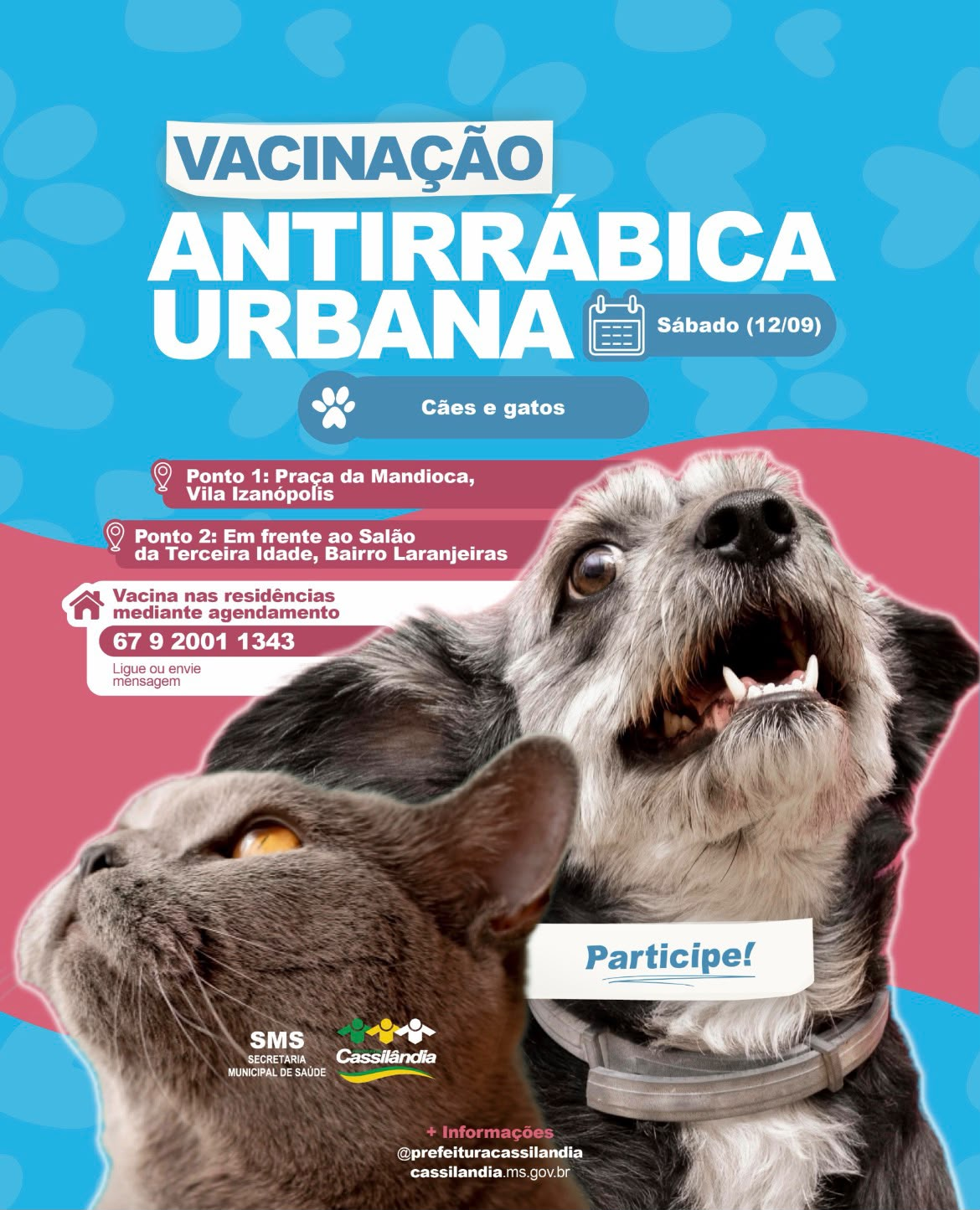 Cassilândia realiza vacinação antirrábica para cães e gatos neste sábado