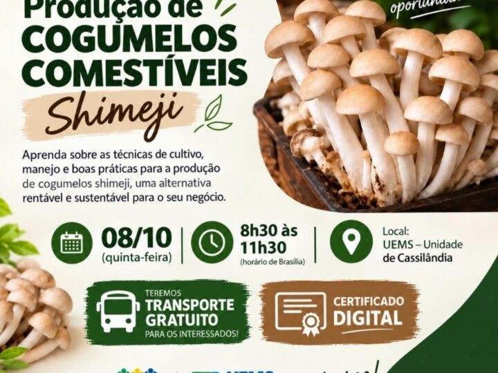 Cassilândia terá capacitação sobre produção de cogumelos comestíveis – Shimeji