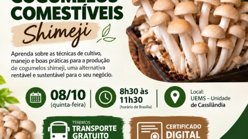 Cassilândia terá capacitação sobre produção de cogumelos comestíveis – Shimeji