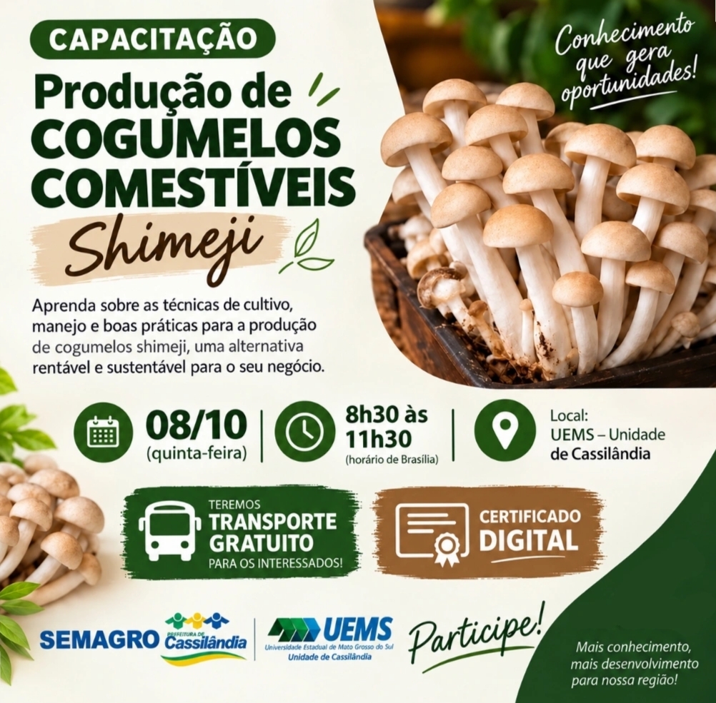 Cassilândia terá capacitação sobre produção de cogumelos comestíveis – Shimeji
